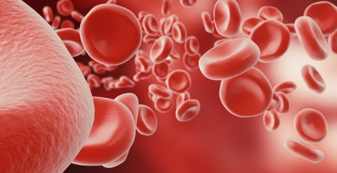hemoglobin testi